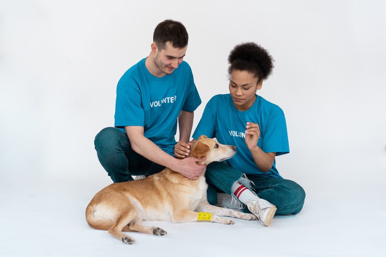 Foster Shelter Animals